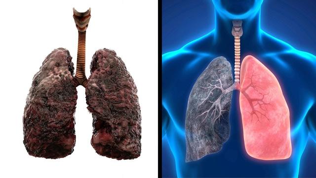 Gesundheitsgewinne durch den Verzicht auf Zigaretten: Was der Körper nach zehn Jahren ohne Rauchen erlebt Gesundheitsgewinne durch den Verzicht auf Zigaretten: Was der Körper nach zehn Jahren ohne Rauchen erlebt
