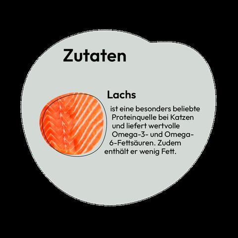 6. Warum sind Pouchbeutel so beliebt? 6. Warum sind Pouchbeutel so beliebt?