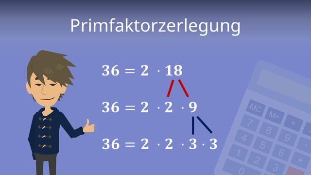 Primfaktorzerlegung einfach erklärt: So funktioniert es Primfaktorzerlegung einfach erklärt: So funktioniert es