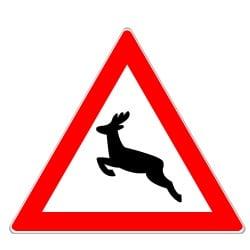 Sicherheit im Straßenverkehr: Gefahren durch Wildwechsel erkennen und handeln Sicherheit im Straßenverkehr: Gefahren durch Wildwechsel erkennen und handeln