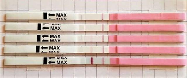 Erfahrungen mit dem Orakeln mit Ovulationstests: Wie aussagekräftig sind die Ergebnisse?