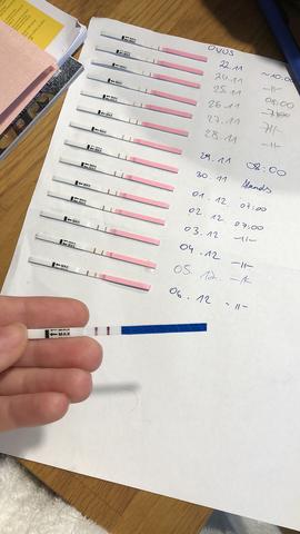 Ovulationstest und Schwangerschaft: Was zeigt ein Ovulationstest an, wenn man schwanger ist?