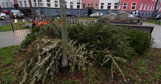 Berlin im Januar 2023: Wann können die ausgedienten Weihnachtsbäume abgegeben werden? Berlin im Januar 2023: Wann können die ausgedienten Weihnachtsbäume abgegeben werden?