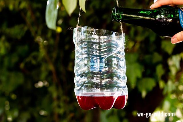 Clevere Lösungen gegen lästige Wespen: DIY-Wespenfallen Clevere Lösungen gegen lästige Wespen: DIY-Wespenfallen