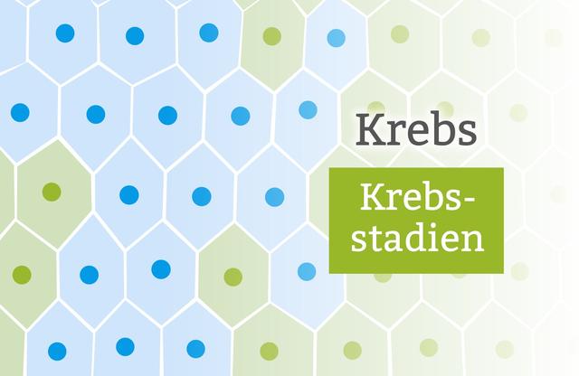 Wichtige Entscheidungen treffen: Palliative Versorgung im Krebs Endstadium Wichtige Entscheidungen treffen: Palliative Versorgung im Krebs Endstadium