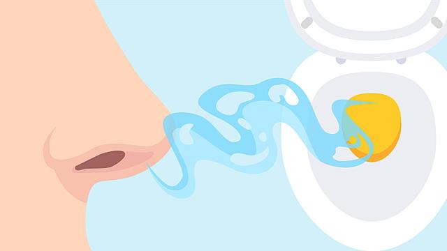 Warum riecht Ammoniak nach Urin? Und was hat das mit Bauernhöfen zu tun?