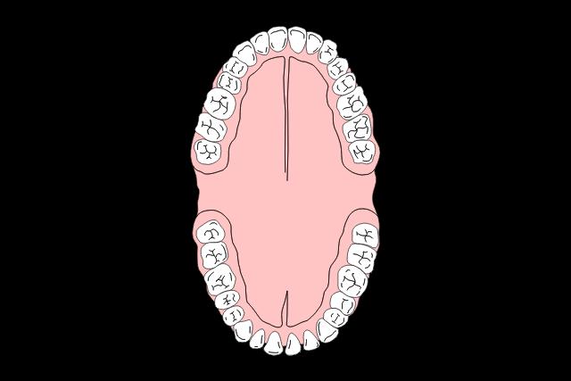 Die Bedeutung der Mundhygiene für gesunde, bleibende Zähne im Erwachsenenalter Die Bedeutung der Mundhygiene für gesunde, bleibende Zähne im Erwachsenenalter