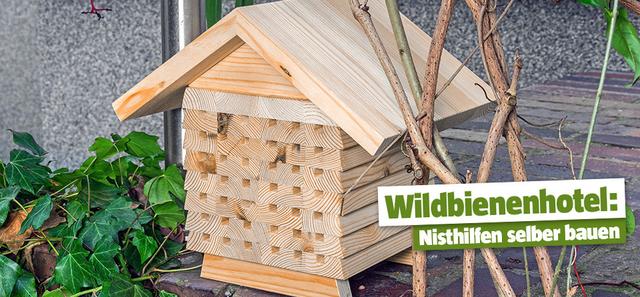 Eigenes Wildbienenhotel bauen: So geht