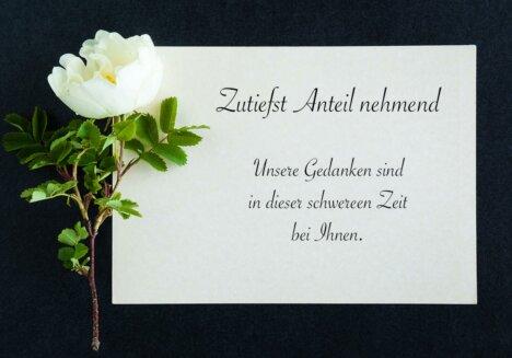 Mitgefühl zeigen: Was auf eine Trauerkarte schreiben? Mitgefühl zeigen: Was auf eine Trauerkarte schreiben?