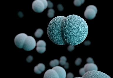 Das Zytomegalievirus: Ursachen, Symptome und Behandlungsmöglichkeiten Das Zytomegalievirus: Ursachen, Symptome und Behandlungsmöglichkeiten